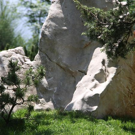 Villa Eagle Eye Montenegro Cattaro Esterno foto